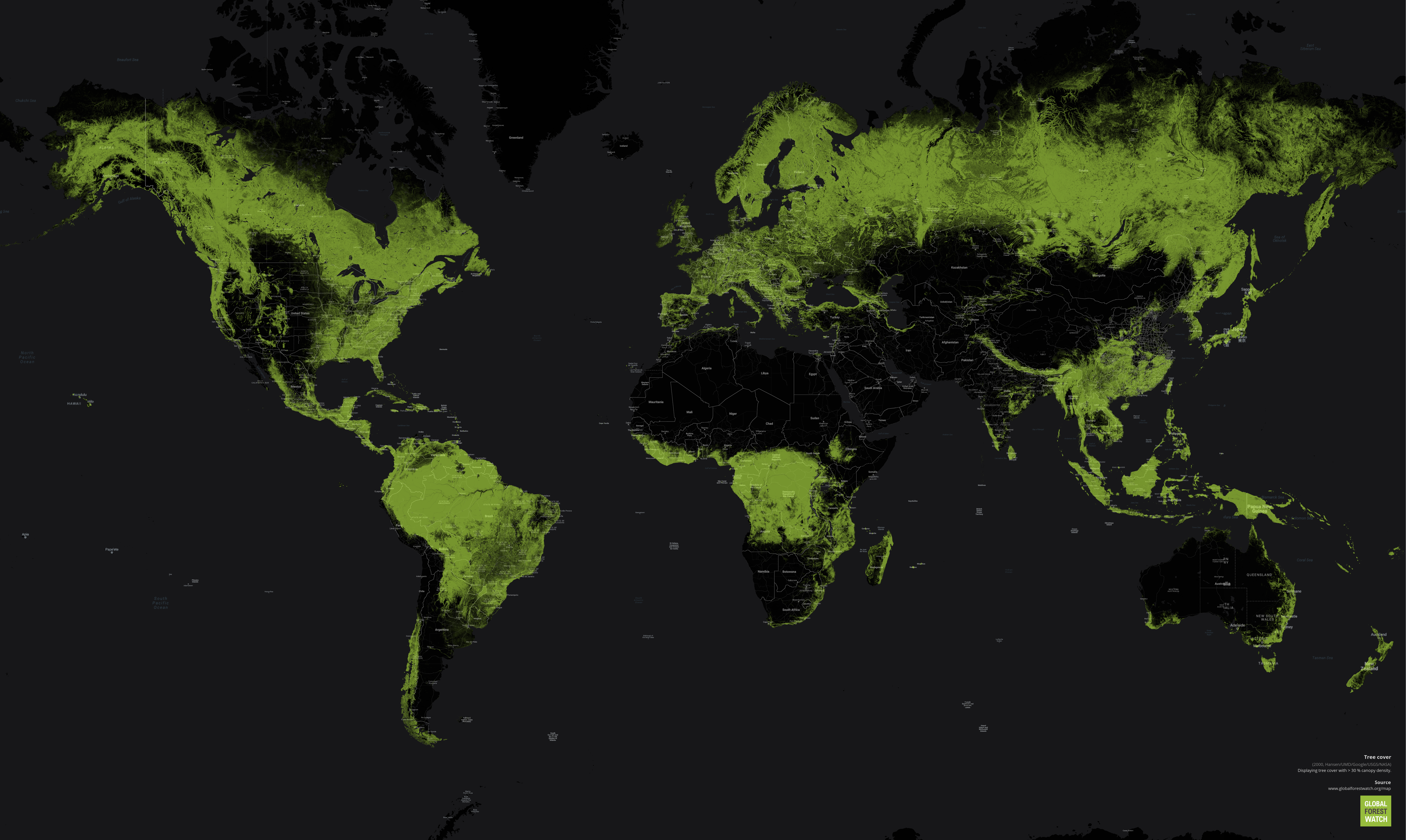 A Snapshot of the World’s Forests