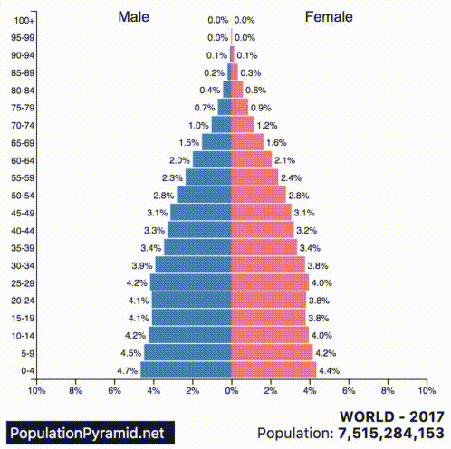 Population Pyramids of the 10 Most Populous Countries