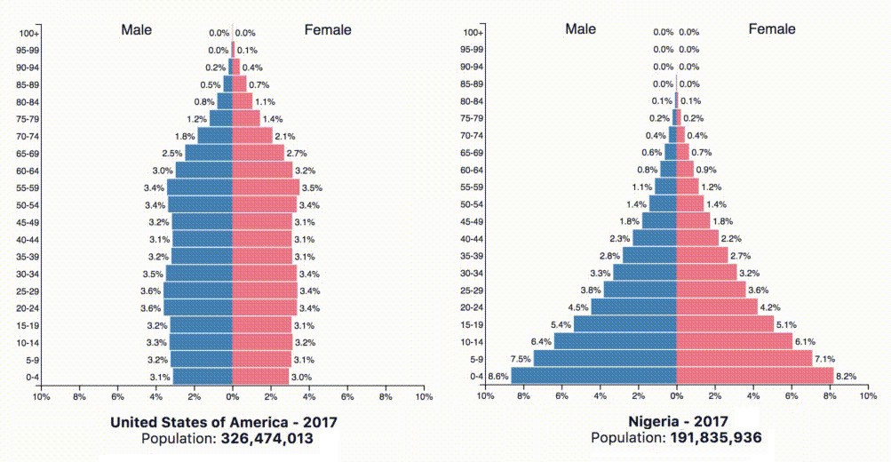 Impoverished Country Population Pyramid