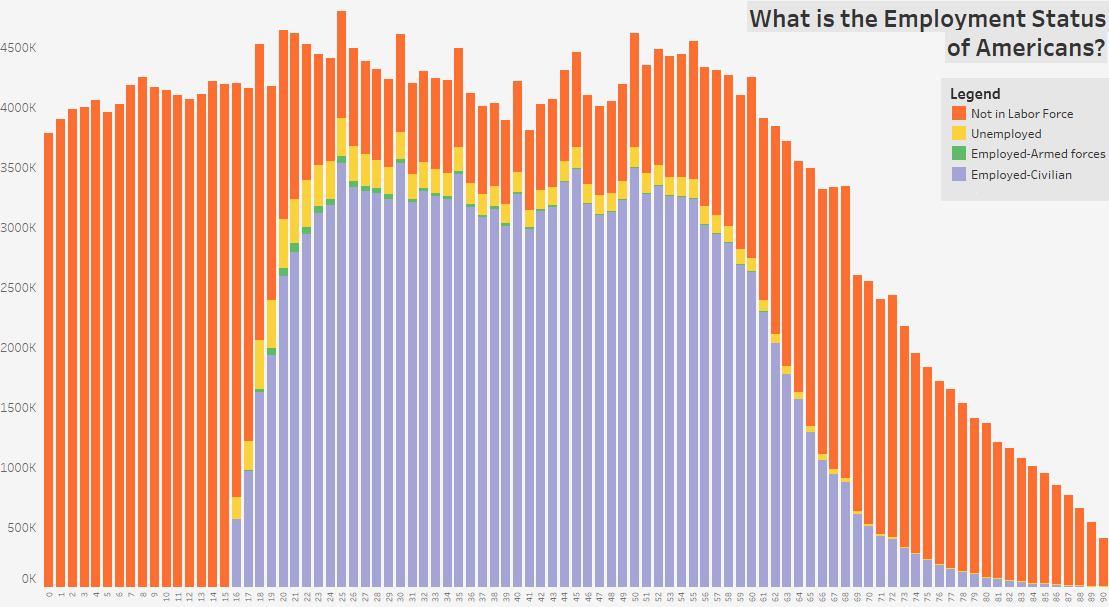 Visualizing How Americans Differ by Age - 92