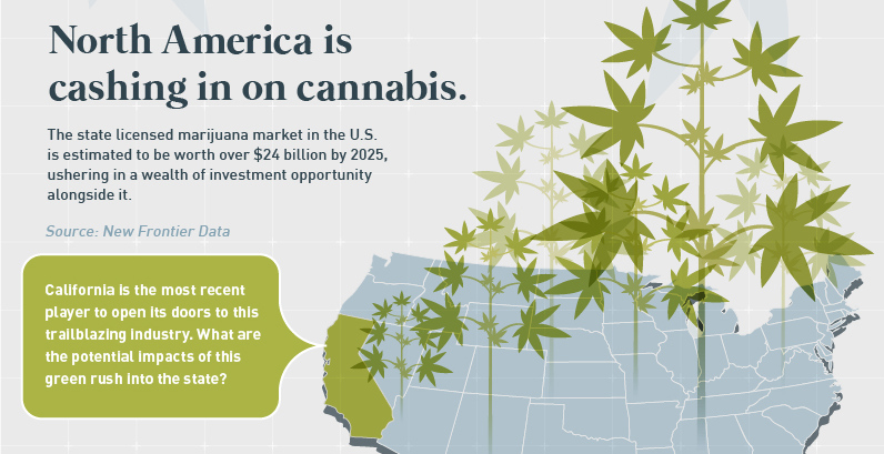 Green Rush  How Cannabis Legalization Will Impact California - 89