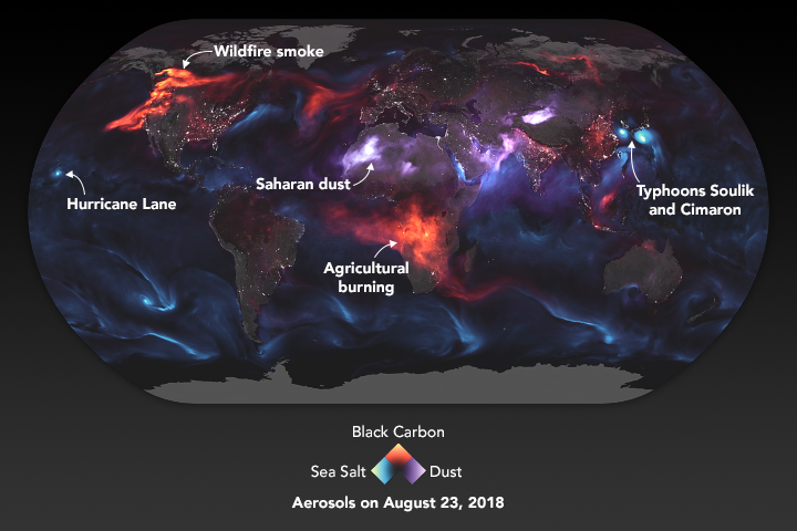 Wildfires, hurricanes, and slash and burning