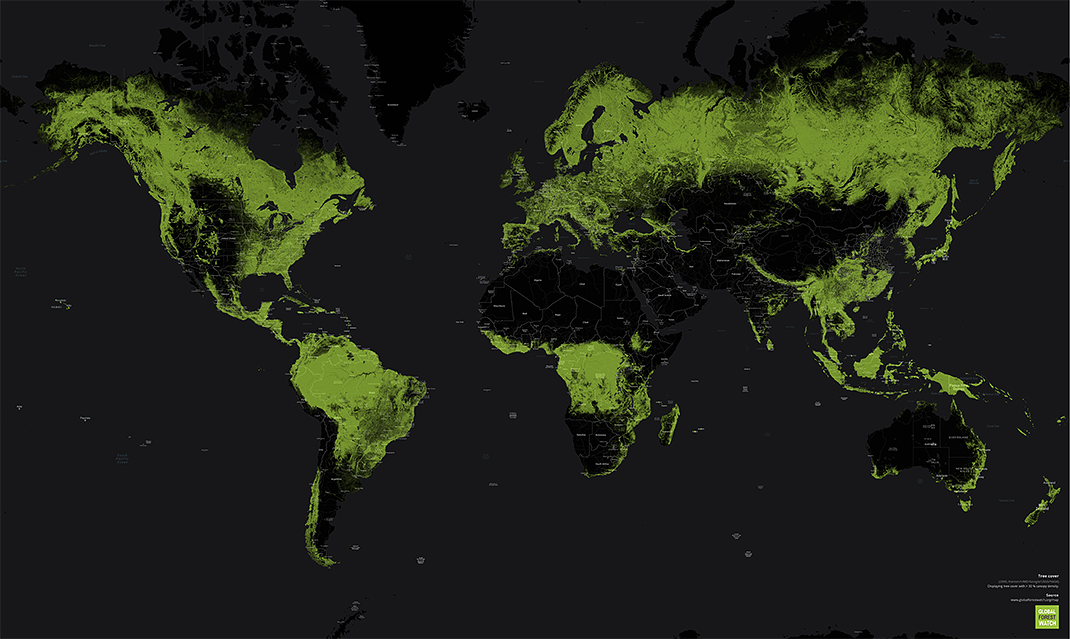 world forest cover map