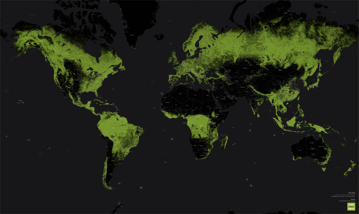 World Forest Cover Map