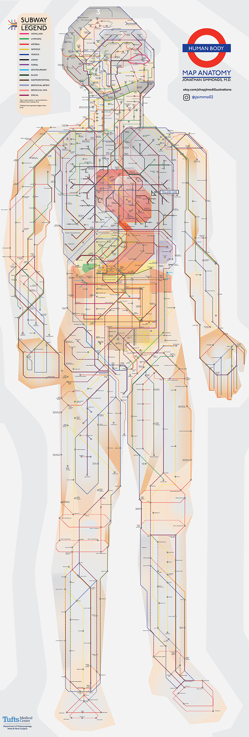Subway Map of Human Anatomy