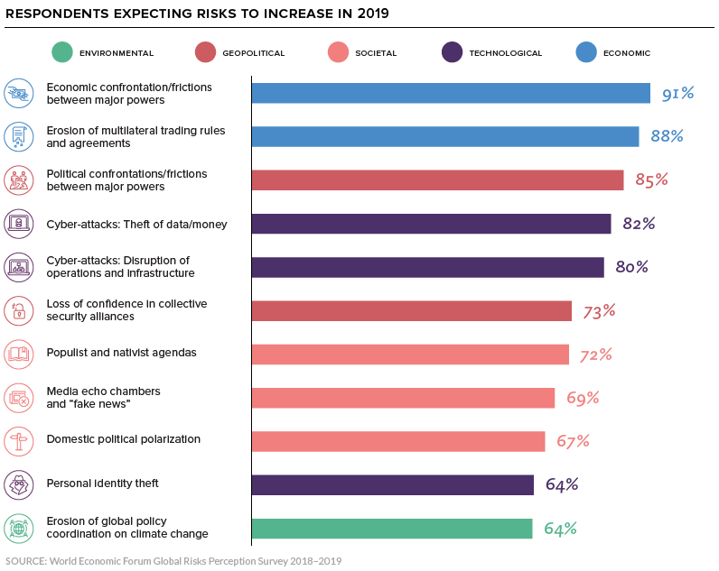 global risks survey 2019