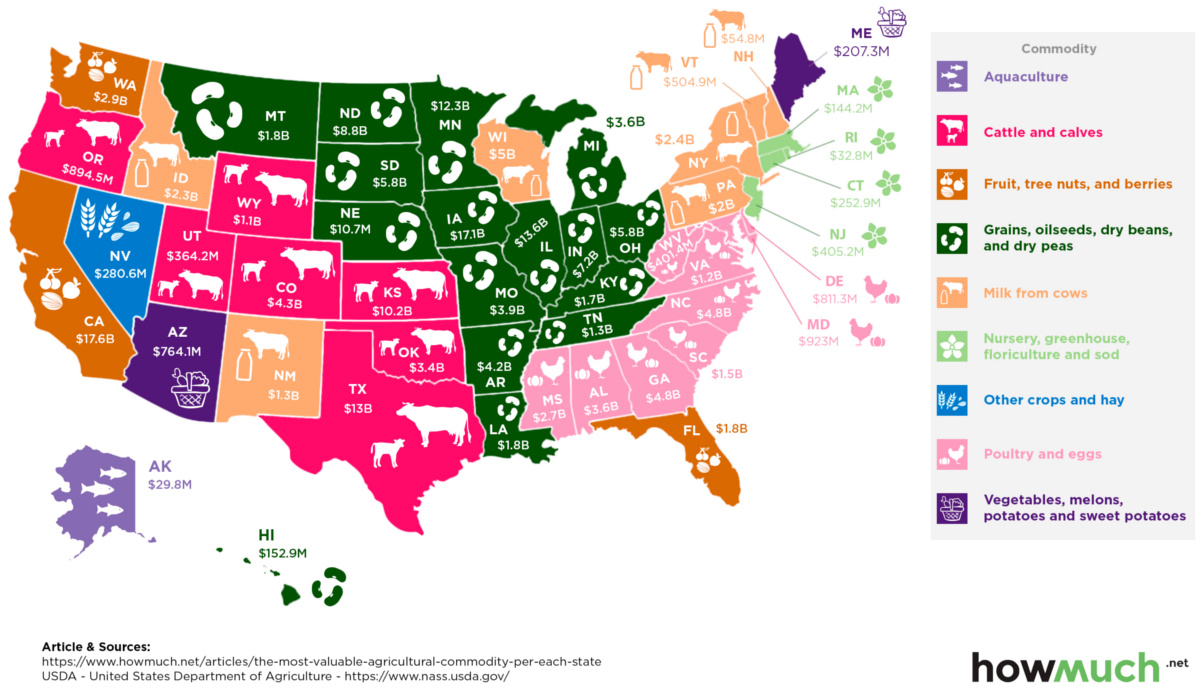 The Most Valuable Agricultural Commodity in Each State