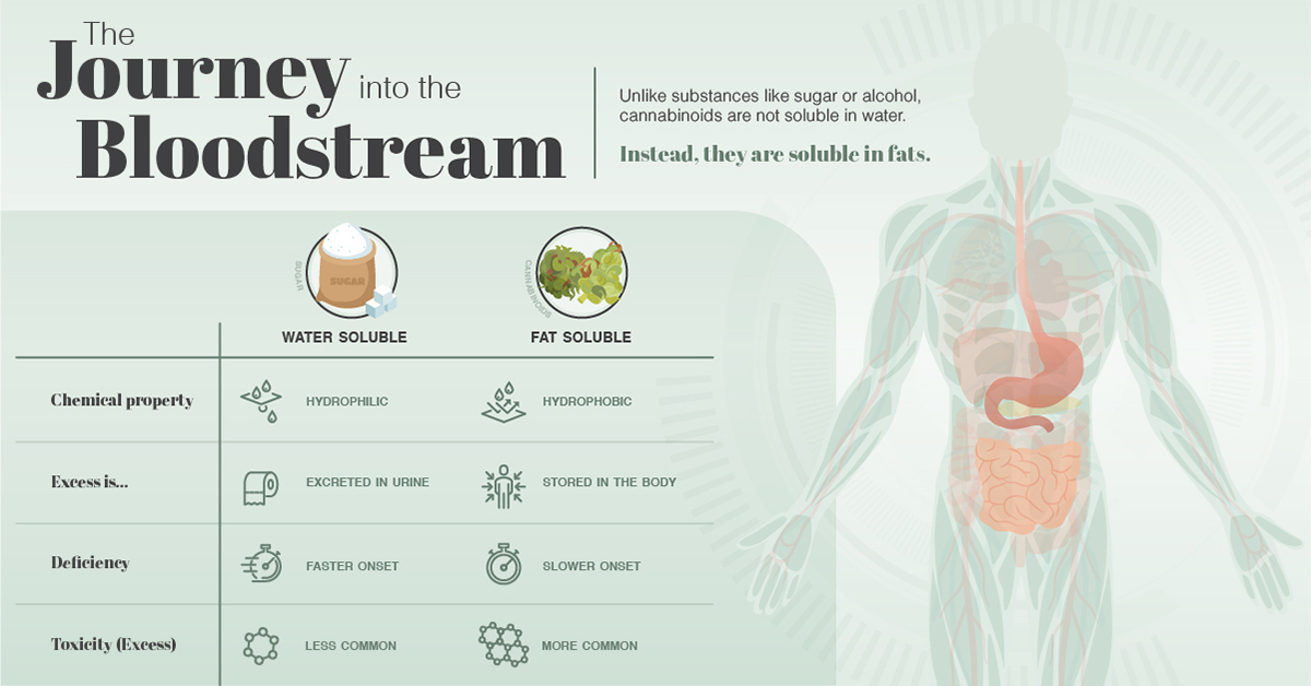 Thc Body Fat Chart