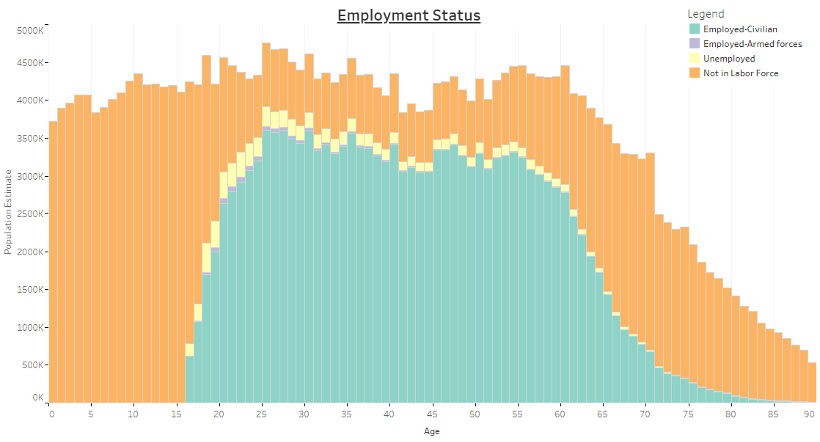 Employment Status of Americans, by Age