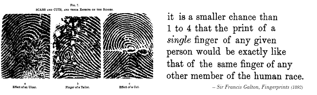 sir francis galton fingerprints