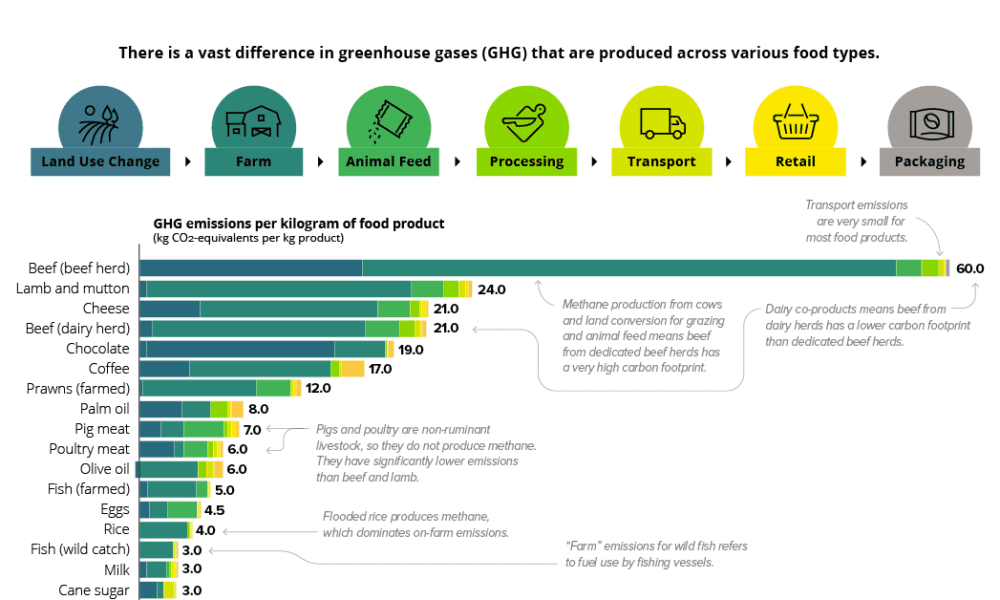 Chart: The Carbon Footprint of the Food Supply Chain