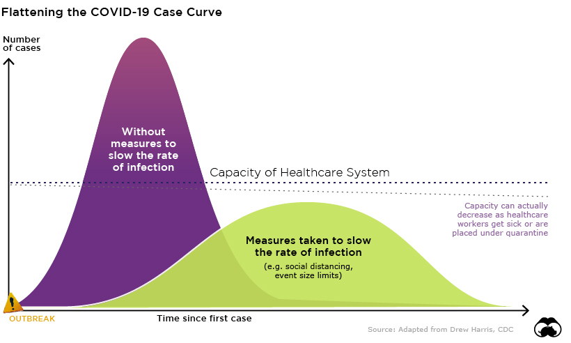 flattening the covid19 curve