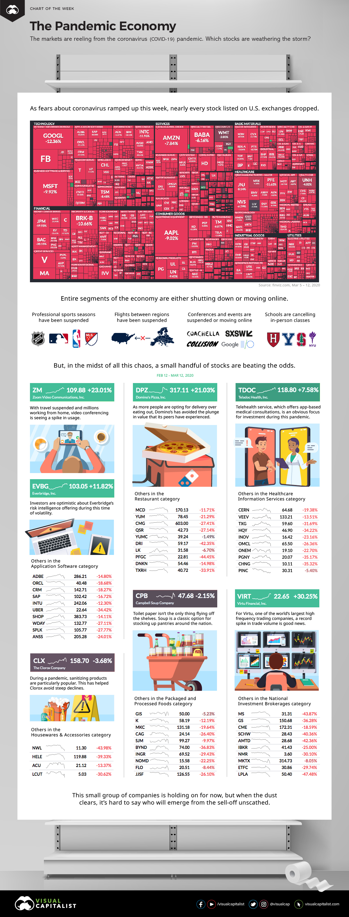 The Pandemic Economy infographic