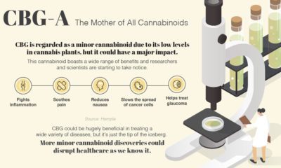 Investing in a Cure for Cancer  What You Need to Know - 46