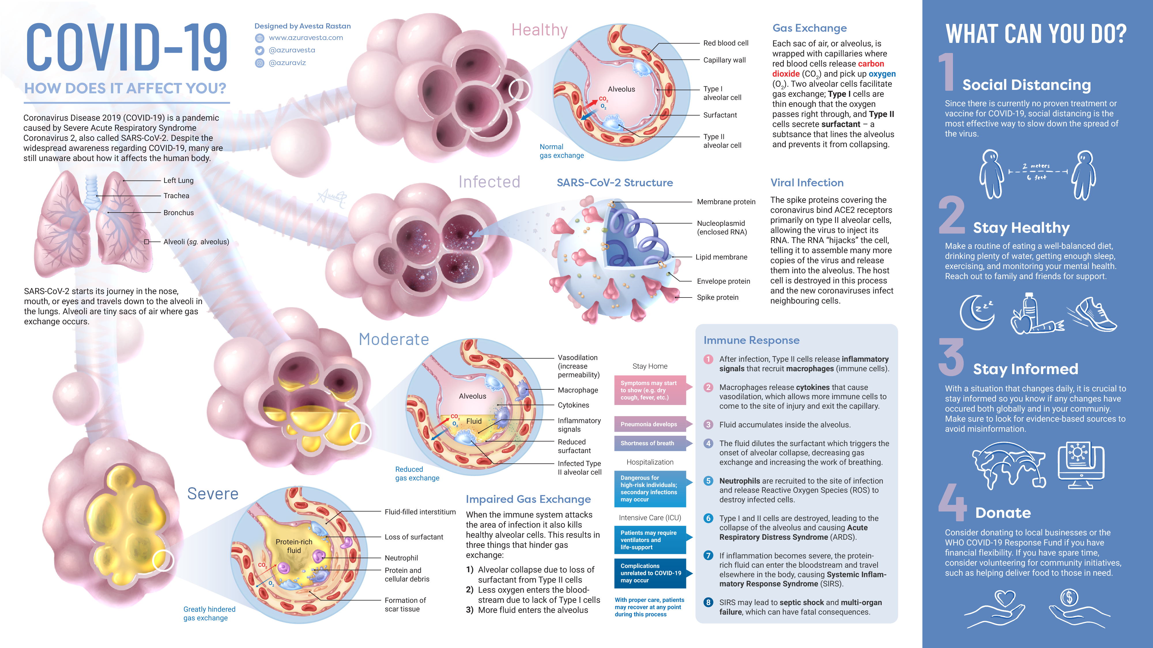 How COVID-19 Affects Your Body