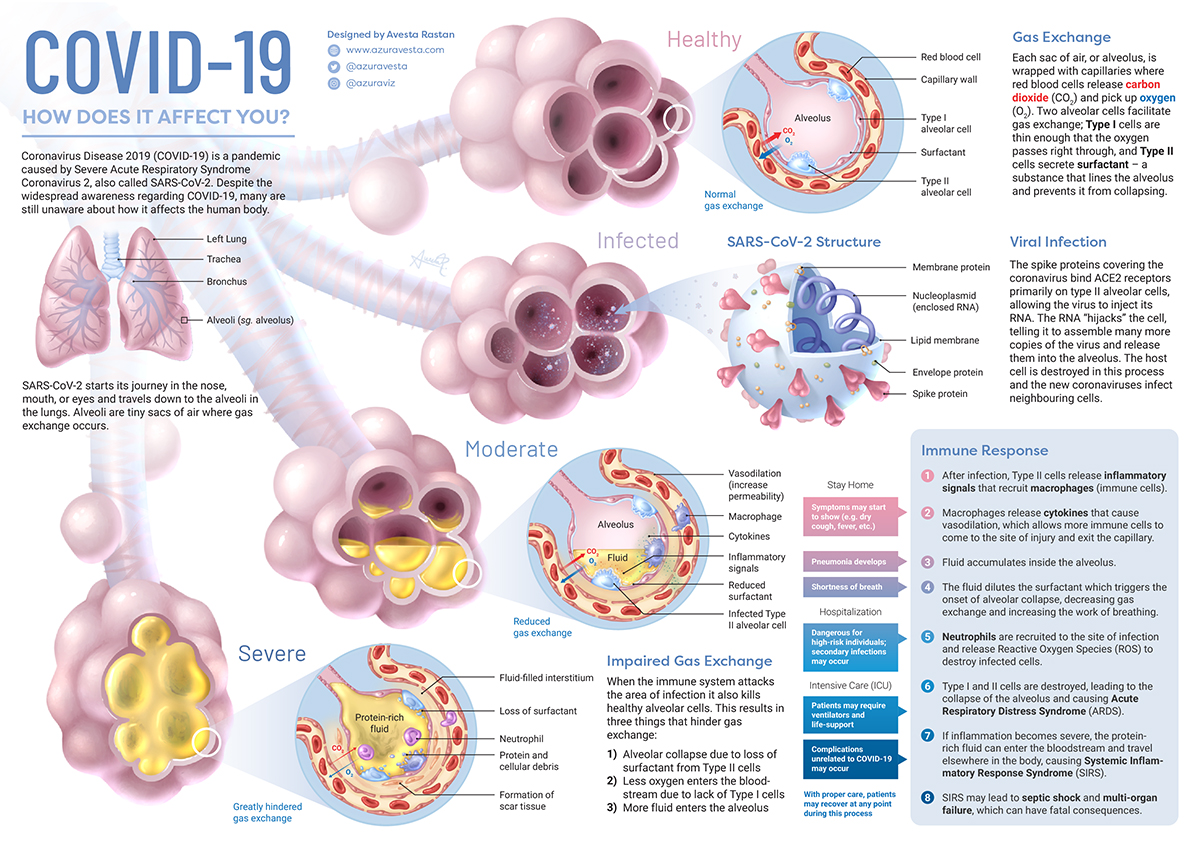 what covid-19 does to your body