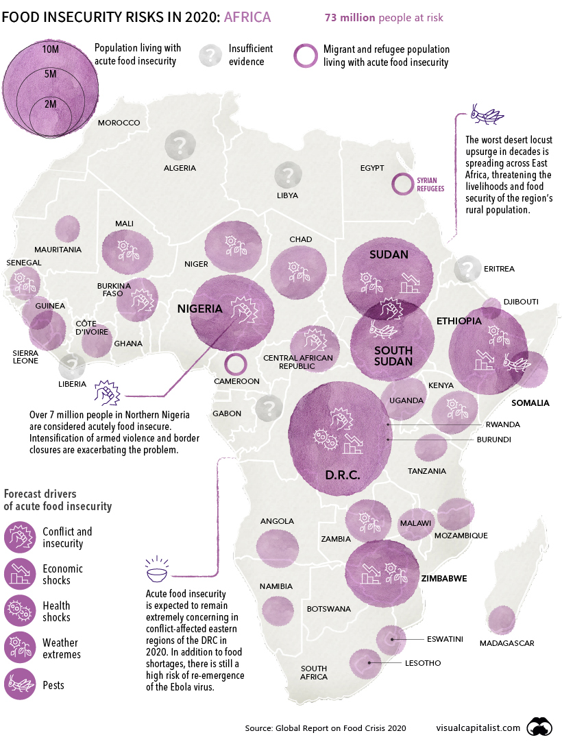 global food crisis 2020 africa