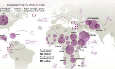 global food crisis 2020