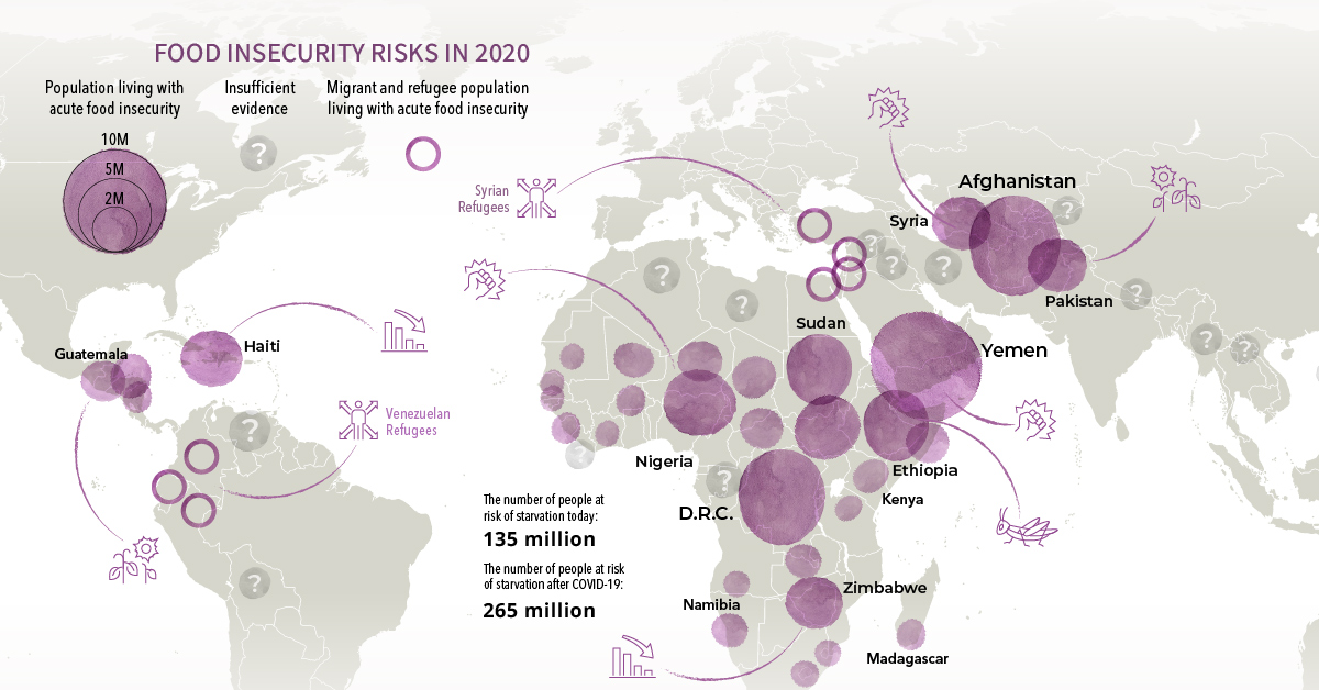 global food crisis 2020