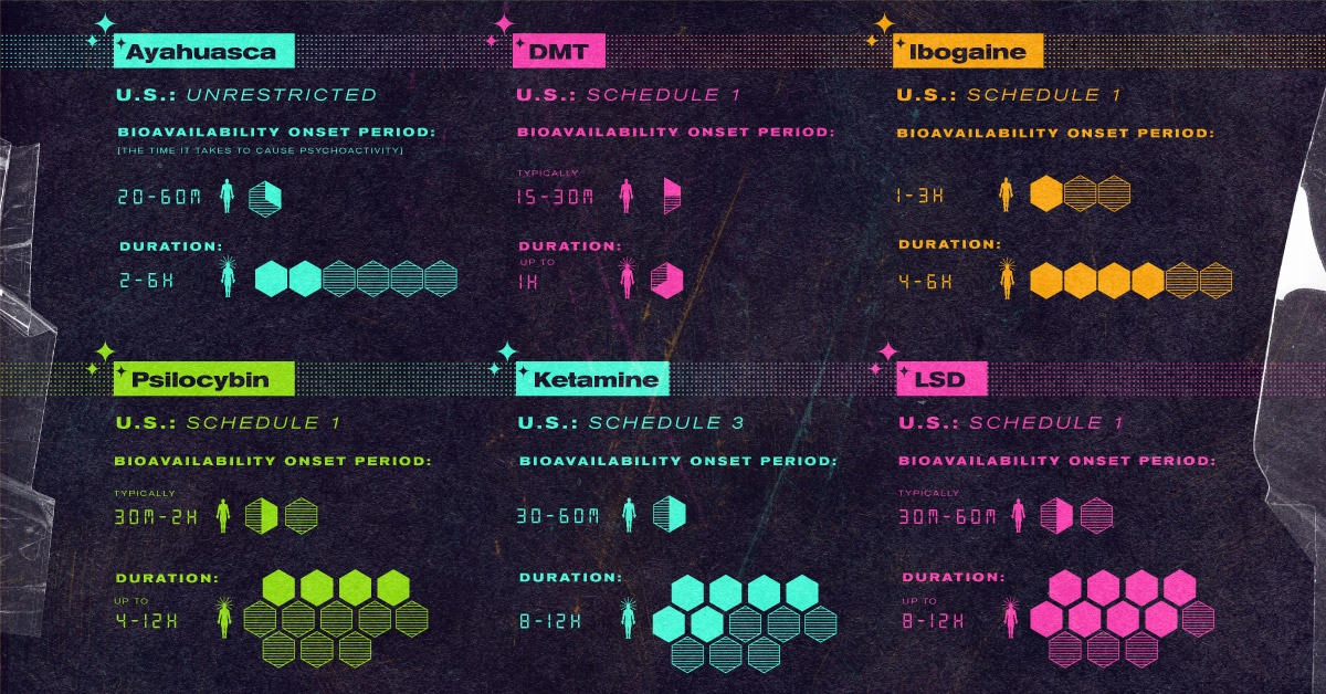 The Top 20 Visualizations of 2020  by Visual Capitalist - 57