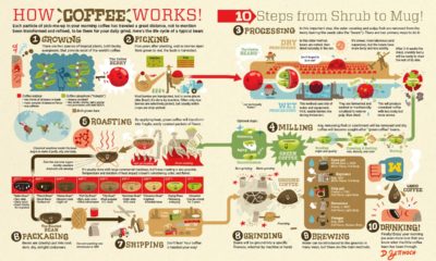 Coffee-supply-visualized-1200