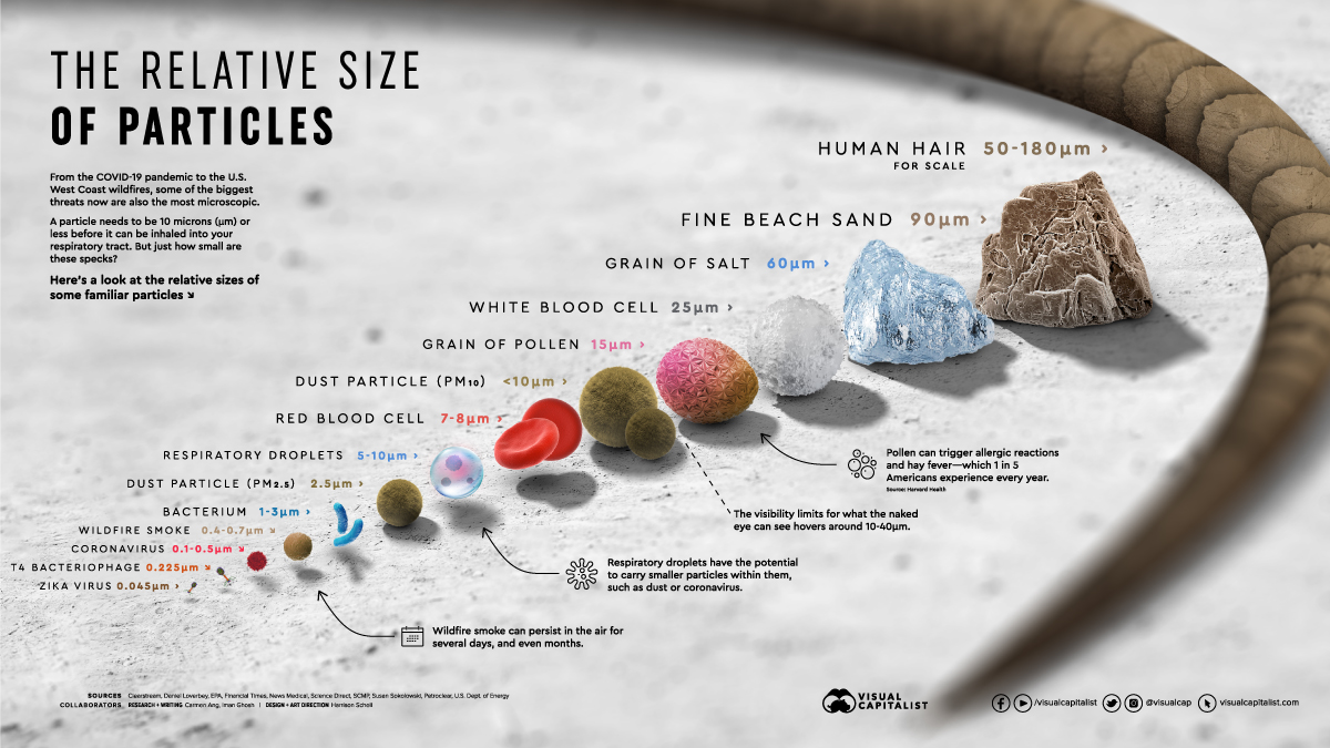 Zooming In: Visualizing the Relative Size of Particles