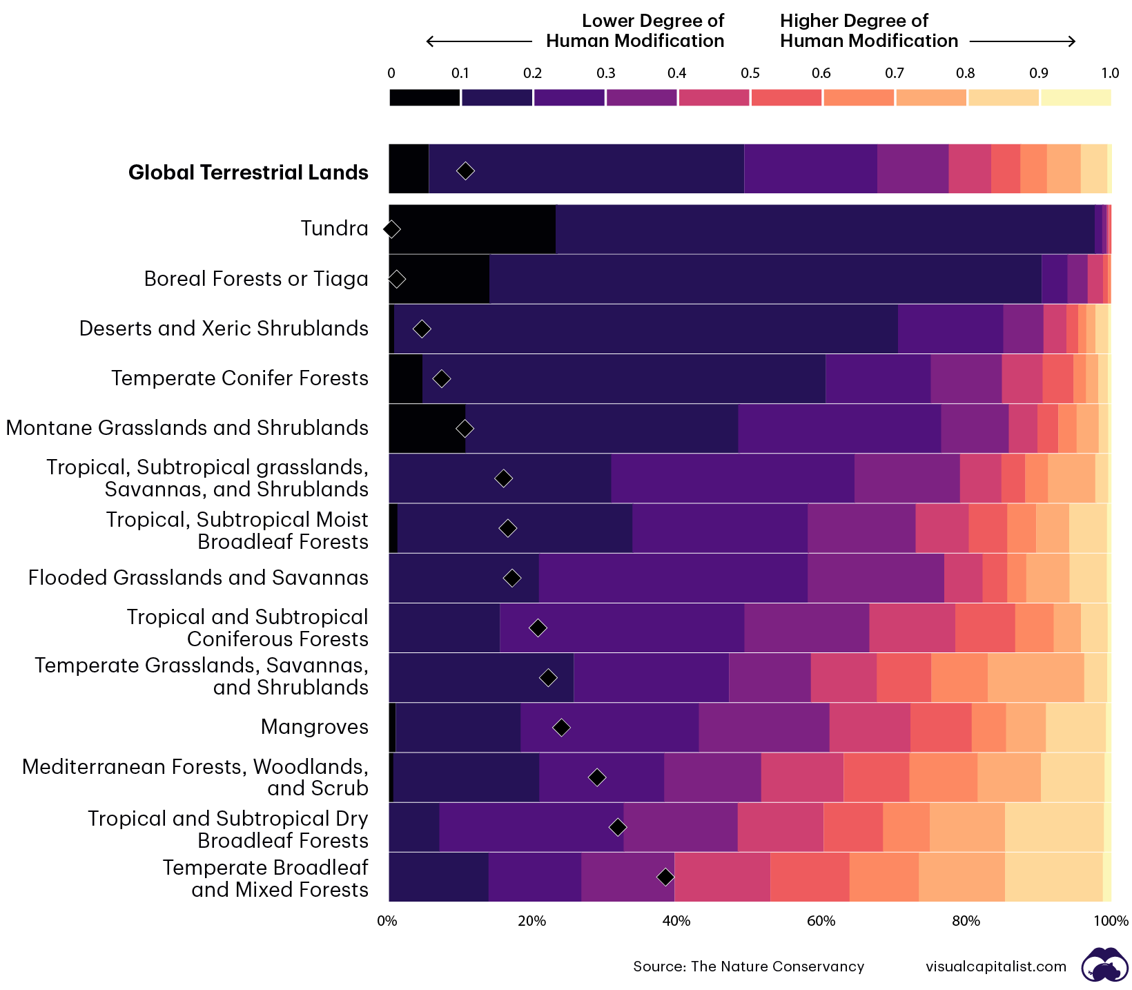 Visualizing the Human Impact on the Earth’s Surface