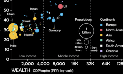 Ranked  The Life Expectancy of Humans and 49 Other Animals - 85