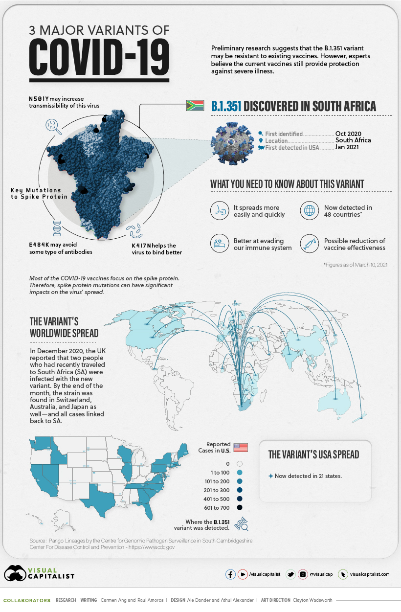 infographic for covid19 or coronavirus South Africa variant B.1.351