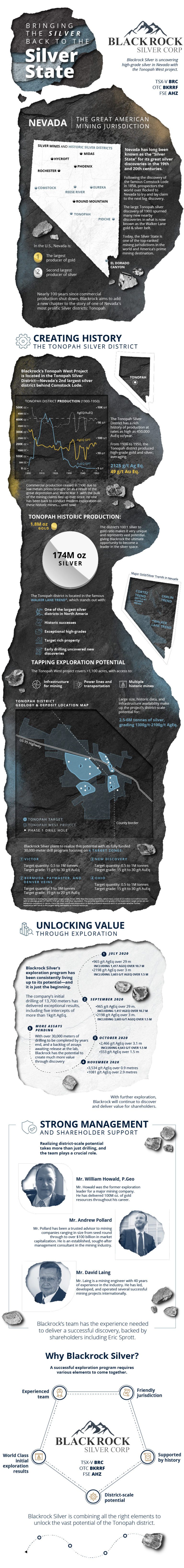 https://www.visualcapitalist.com/wp-content/uploads/2021/03/Blackrock-Silver-Spotlight-march-2021-768x6524.jpg