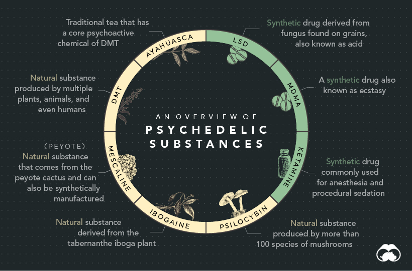 history of psychedelics supplemental