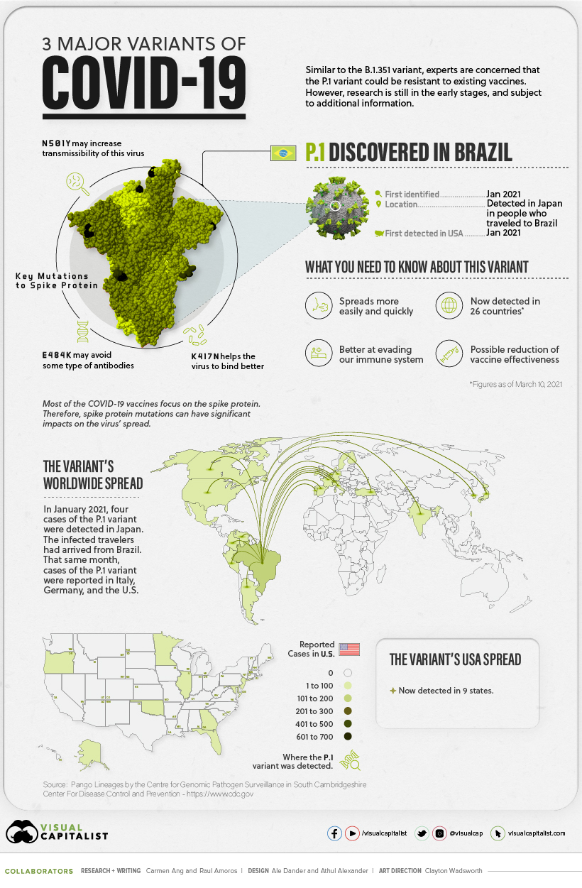 infographic for covid19 or coronavirus brazil variant P.1