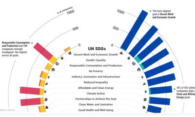 Sustainable Development Goals