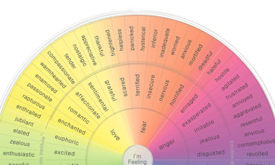 visual guide to human emotions wheel