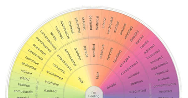 visual guide to human emotions wheel