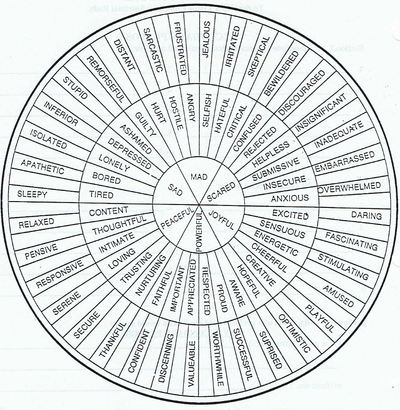 willcox feelings wheel