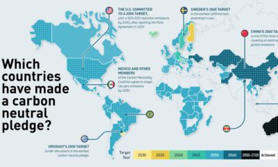 NPUC Net Zero Global Goals shareable