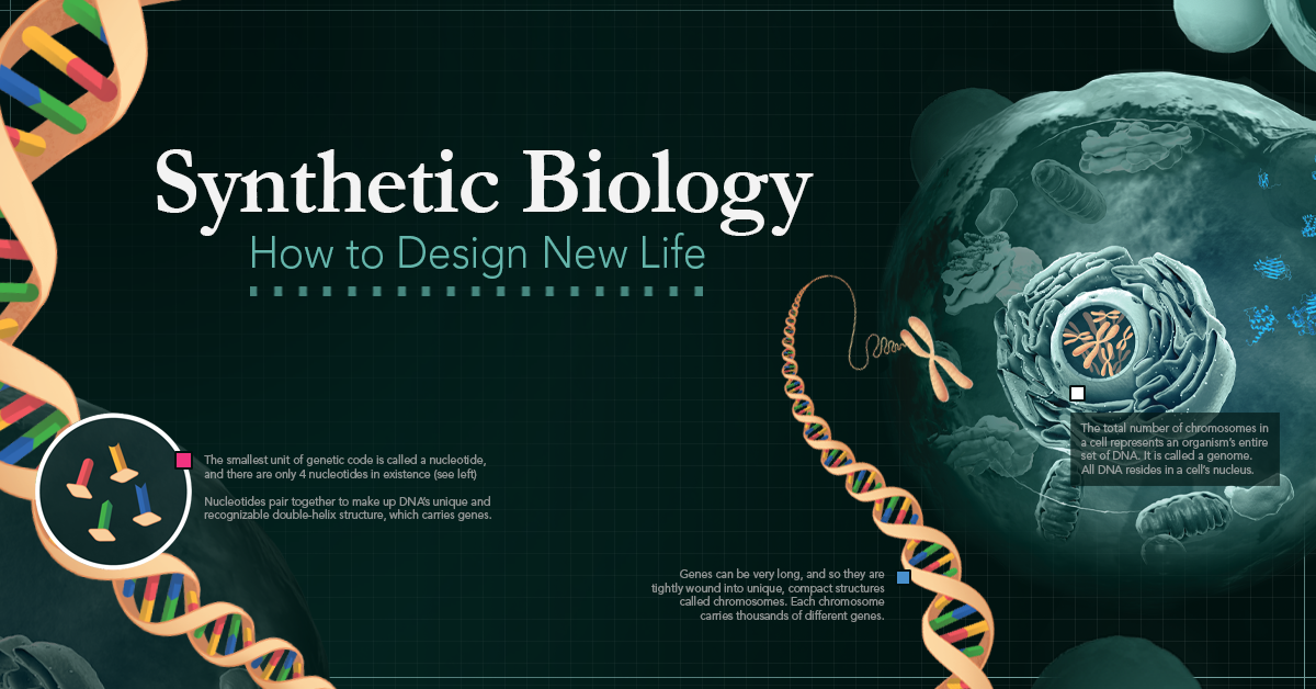 Explainer How Synthetic Biology is Redesigning Life