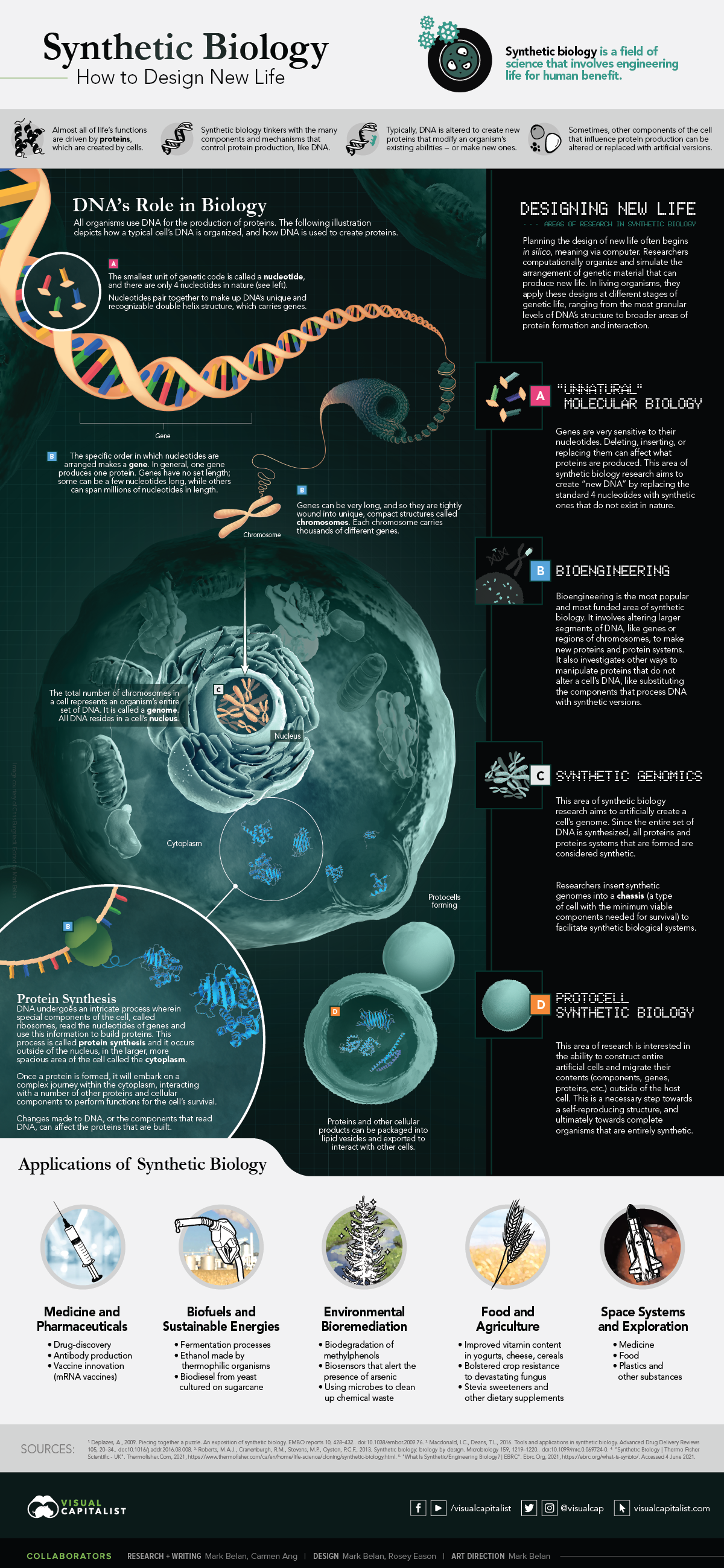 phd in synthetic biology