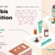 cannabis prohibition
