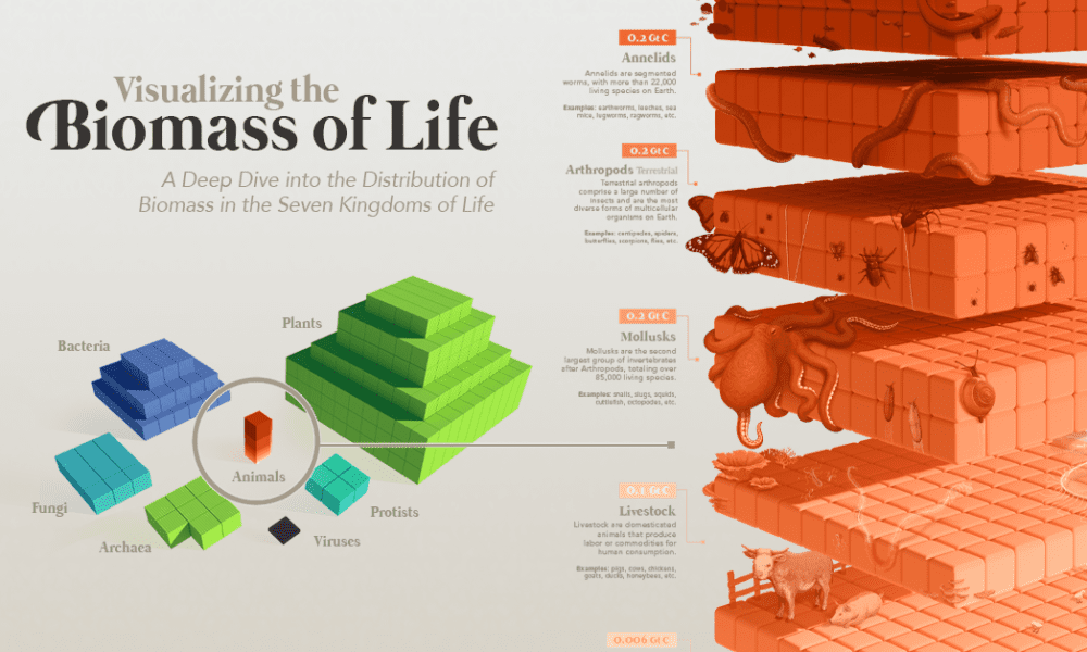 All the Biomass on Earth in One Massive Visualization All the Biomass on Earth in One Massive Visualization