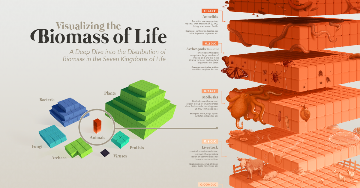 All the Biomass on Earth in One Massive Visualization All the Biomass on Earth in One Massive Visualization