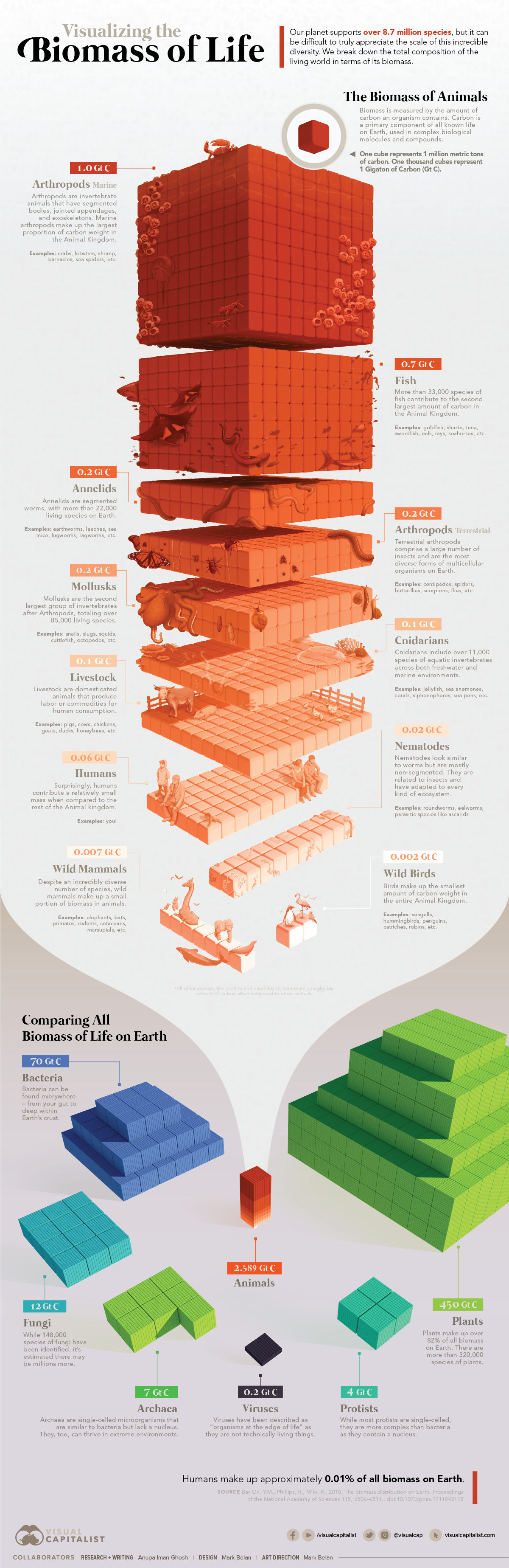 Visualizing All the Biomass on Earth