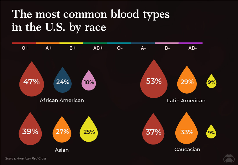 types of blood essay