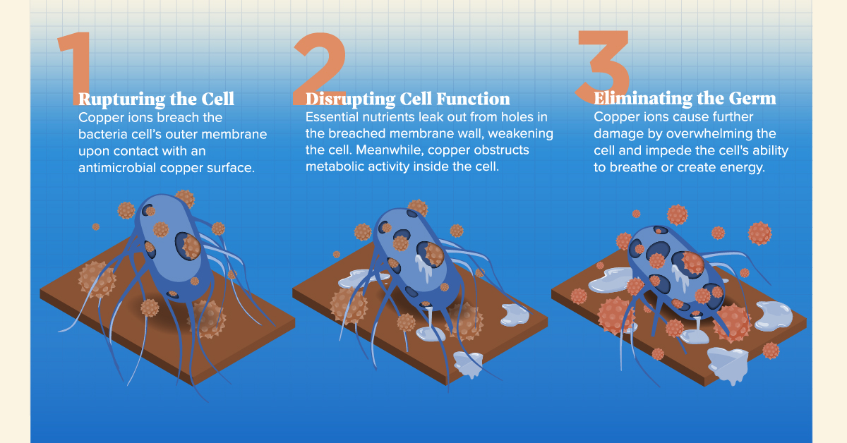 Antimicrobial Copper: The Germ-fighting Metal