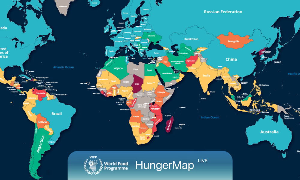 50 Shocking Statistics on World Hunger Unveiled 2024
