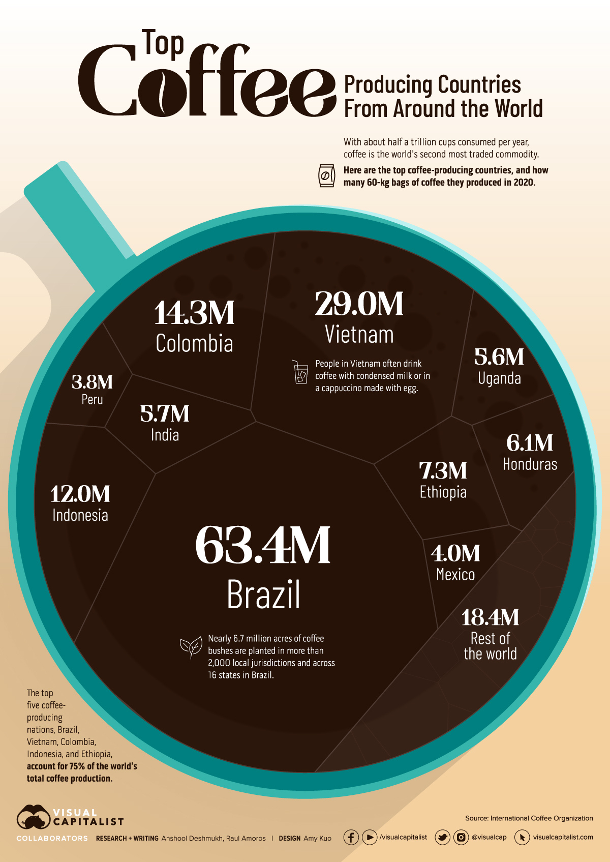 Coffee beans and their countries