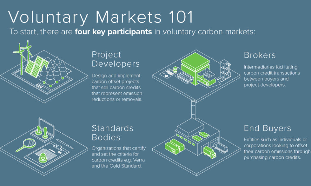 004 How Companies Use Carbon Markets To Reduce Emissions