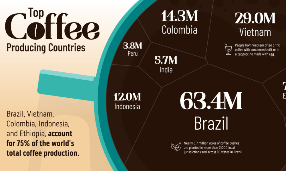 Колумбия страна кофе. Coffee Production in Brazil. Coffee Production. Coffee Production Biotechnology. Caffe why book.