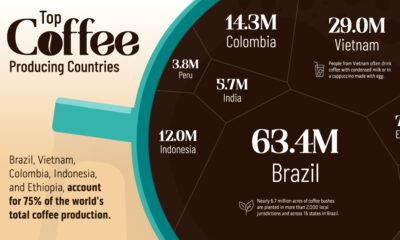 voronoi of the top coffee producing countries by exports